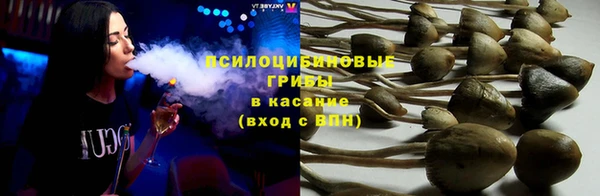 сатива Алзамай